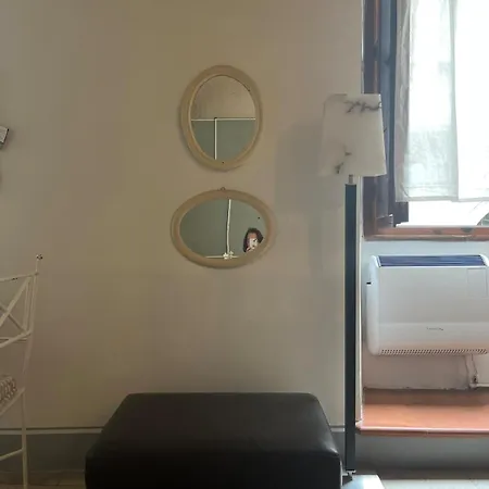 Historic In Oltrarno Appartement